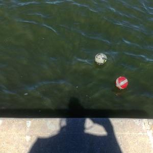 37005714_1768331859918279_471893541484756992_n